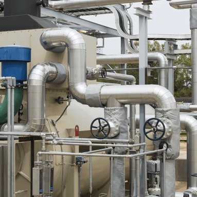Food and Beverage Production