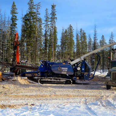 Peterson 4310B Drum Chipper