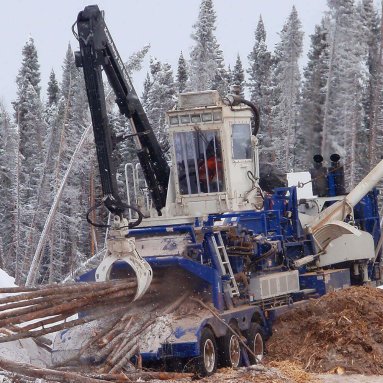 Peterson 5000H Whole Tree Chipper