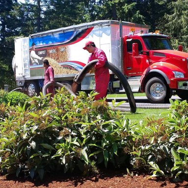 Peterson BT60C Blower Truck