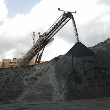 Radial Telescopic Conveyors