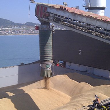 Radial-Telescopic-Shiploaders2