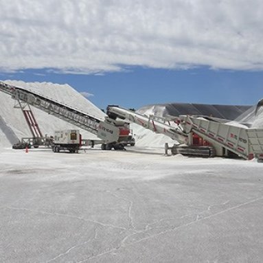 Tracked Bulk Reception Feeder