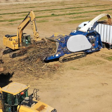 Forestry Applications - Biomass